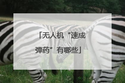 无人机“速成弹药”有哪些
